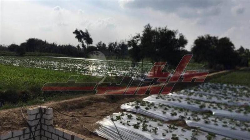 أنظمة الري الحديث