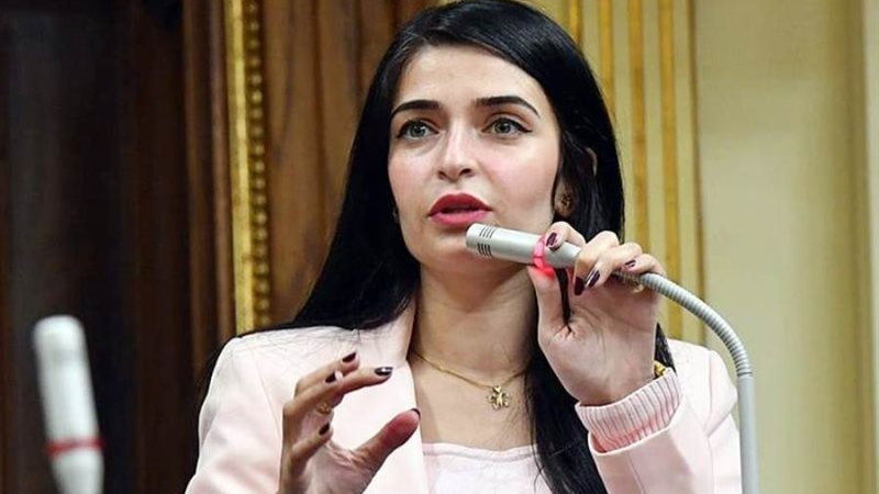 النائبة الدكتورة