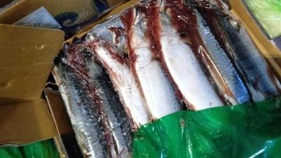 ضبط 3600 كجم سمك غير صالح للاستهلاك الآدمي بالبحيرة