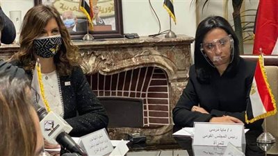 مايا مرسي: ممثلات تنسيقية شباب الأحزاب والسياسيين في مجلس النواب 