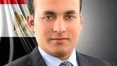 نائب بالشيوخ: إلغاء استثناء مكافآت النواب من الضرائب لترسيخ مبدأ العدالة