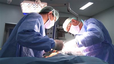 :عين شمس العام