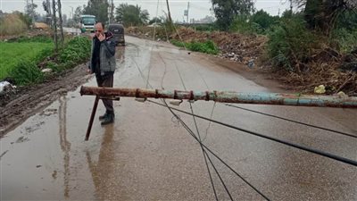 سقوط عمود نتيجة الأمطار بالمنصورة.. وطوارئ لمتابعة الخدمات