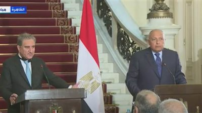 تعرف على تاريخ العلاقات المصرية الباكستانية في دقيقة