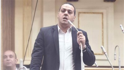 تطوير محور المحمودية.. شعلان يطالب بخط نهري بالبحيرة