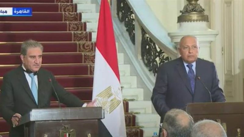 جانب من المؤتمر الصحفى