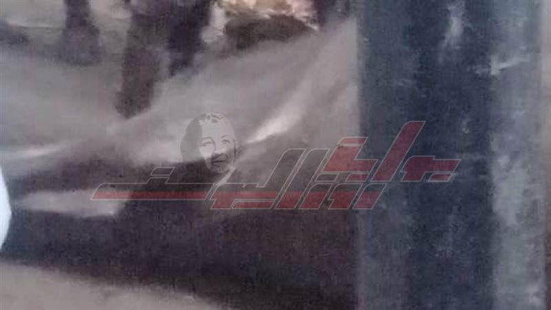 نفوق ماشية صعقا