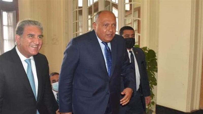 سامح شكري يستقبل