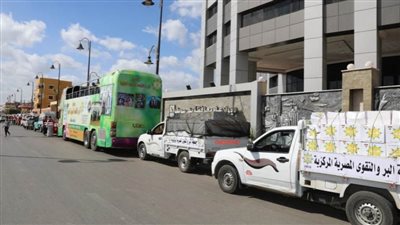 مساعدات غذائية وعينية للأسر الأولى بالرعاية ببنى سويف 