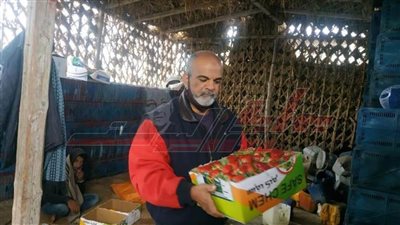 زراعة الإسماعيلية تفتح أسواقًا جديدة لتصدير الفراولة إلى روسيا والاتحاد الأوروبي