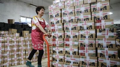 140 مليار دولار إجمالي نفقات الصينيين في التسوق عبر الانترنت خلال عيد الربيع