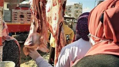 ضبط 304 كجم لحوم و541 كجم أسماك مخالفة خلال حملات تفتيشية بالشرقية