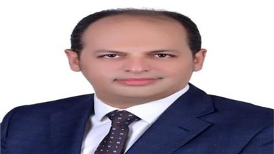 نائب بالشيوخ: المبادرات الرئاسية الصحية ساهمت في إنقاذ ملايين المواطنين