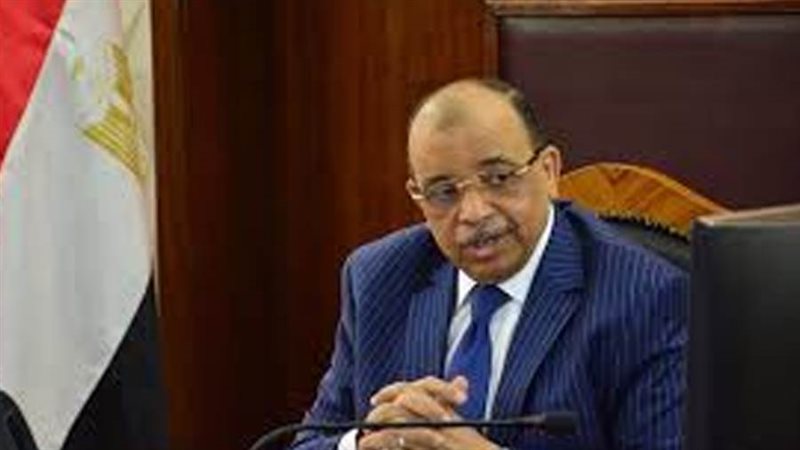 محمود شعراوي