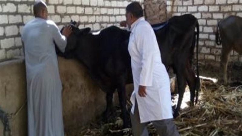 تحصين الثروة الحيوانية