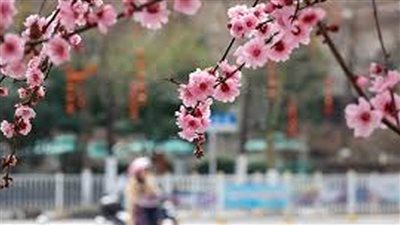 سفينة مستشفى بطراز عالمي تكمل تجربة بحرية في ميناء شمالي الصين 