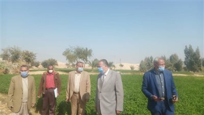 السكرتير المساعد بأسيوط يترأس لجنة تسعير أملاك الدولة