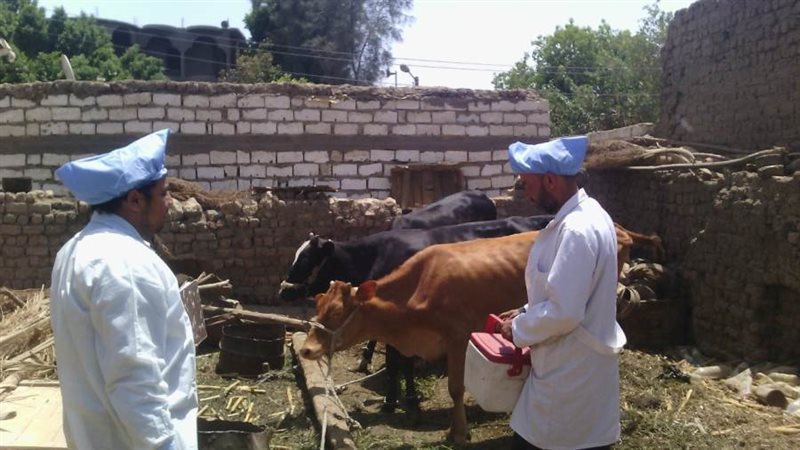 حملة تحصين بأسيوط