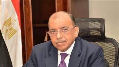 وزير التنمية المحلية يشيد بجهود برنامج الأغذية العالمي في محافظات الصعيد