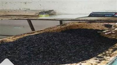 ضبط 150 طن تبغ منتهي الصلاحية بالمنوفية