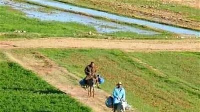 181.55 فدان في الخارجة لاستخدامها في الأنشطة الصناعية