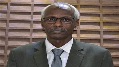 وزير الري السوداني يلتقي وفداً كونغولياً