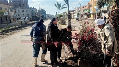 حملات نظافة مكبرة ورفع كفاءة الإنارة بكفر الشيخ