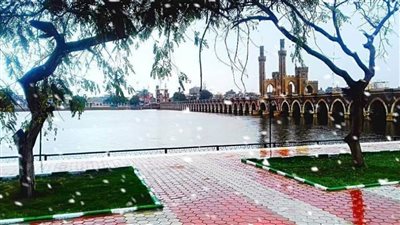 بالفيديو| جولة في حديقة عفلة.. مساحتها 13 فدانا وتضم العديد من أندر الأشجار بالعالم