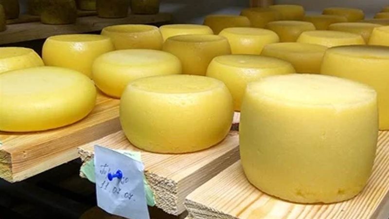 إحتجاز شحنة جبن رومى