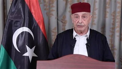 النواب الليبي:انعقاد جلسة منح الثقة للحكومة يوم ٨ مارس في