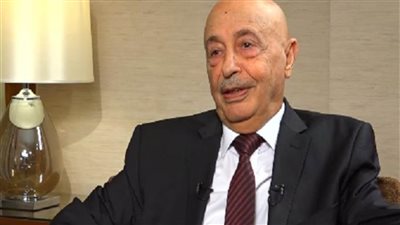 النواب الليبي: نتطلع لتشكيل حكومة مصغرة تضم كفاءات تخدم المواطنين