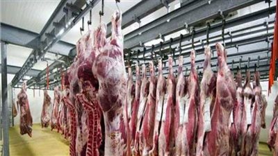 ضبط 64 مخالفة تموينية متنوعة خلال حملات رقابية بالمنيا