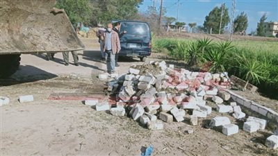 كفر الشيخ تزيل التعديات على الأراضي الزراعية