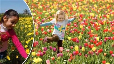 فلكيًا..بدء فصل الربيع 20 مارس المقبل..ولمدة 92 يوما