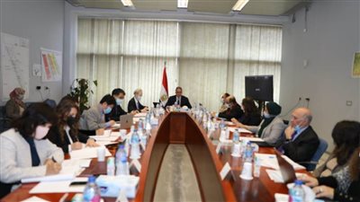 اجتماع اللجنة المصرية اليابانية العليا للمتحف المصري الكبير