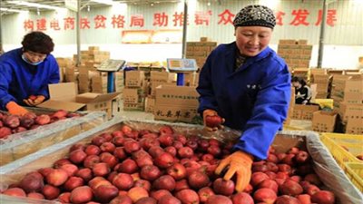 منصة إلكترونية صينية لتجارة لبيع المنتجات الزراعية