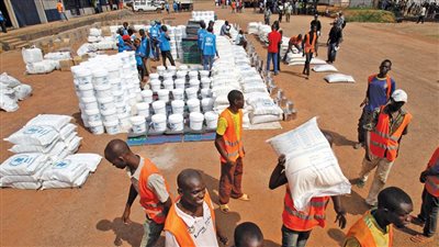 إعادة تأهيل نحو 2500 بناية مدرسية في إفريقيا الوسطى بمساعدة البنك الدولى