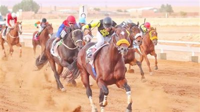 فروسية الزلفي تقيم سباقها السادس عشر للموسم الحالي