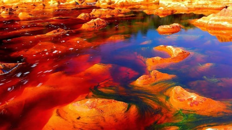 بوابة روز اليوسف