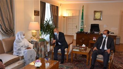 أبو الغيط يجدد التزام الجامعة العربية بالحفاظ على حقوق مصر والسودان فيما يتصل بسد النهضة