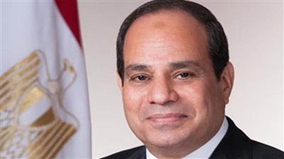 خبراء قانون دولي وسياسة: نقدر جهود الرئيس السيسي في تحقيق الأمن 