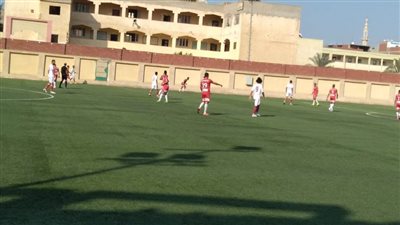 بعد واقعة التعدي على الحكم.. اعتبار بدواي خاسرًا وإيقاف المخطئين