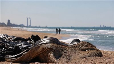 إسرائيل: التسرب النفطي أمام شواطئنا مرتبط بإيران وهو حادث إرهابي