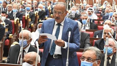عضو الشيوخ: سنشارك بقوة في صياغة مشهد برلماني يخدم الدولة 