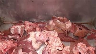 ضبط نحو 4 أطنان لحوم ودواجن وأسماك فاسدة بالإسكندرية خلال فبراير الماضي