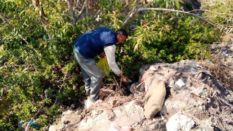 أعمال مكافحة القوارض