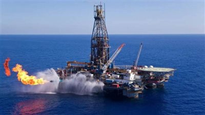 موقع هولندي: مصر أصبحت دولة رائدة في إنتاج الغاز في إفريقيا