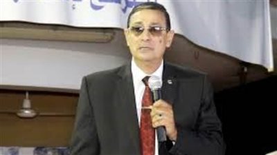 الضبع: الدبلوماسية المصرية نجحت في إظهار عدالة قضية سد النهضة