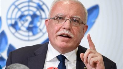الخارجية الفلسطينية: فريق يستعد للتوجه إلى لاهاي لبحث خطوات التحقيق في جرائم حرب إسرائيلية