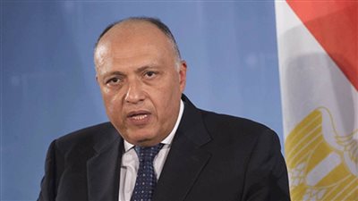 شكري يشارك نيابة عن الرئيس السيسي في قمة مجلس السلم والأمن الإفريقي